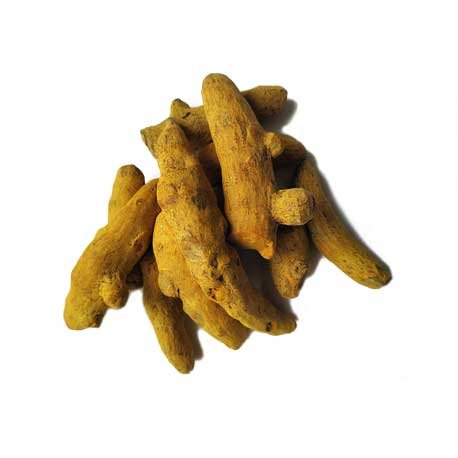Curcuma (poudre et racines) - Achat, usage et recettes - L'ile aux épices